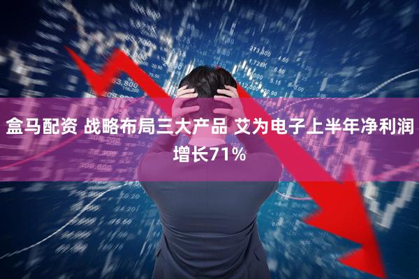 盒马配资 战略布局三大产品 艾为电子上半年净利润增长71%