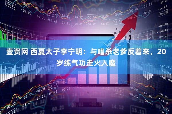 壹资网 西夏太子李宁明：与嗜杀老爹反着来，20岁练气功走火入魔